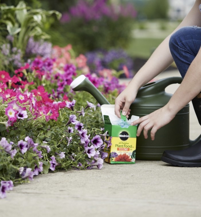 Person is using plant food on flowers