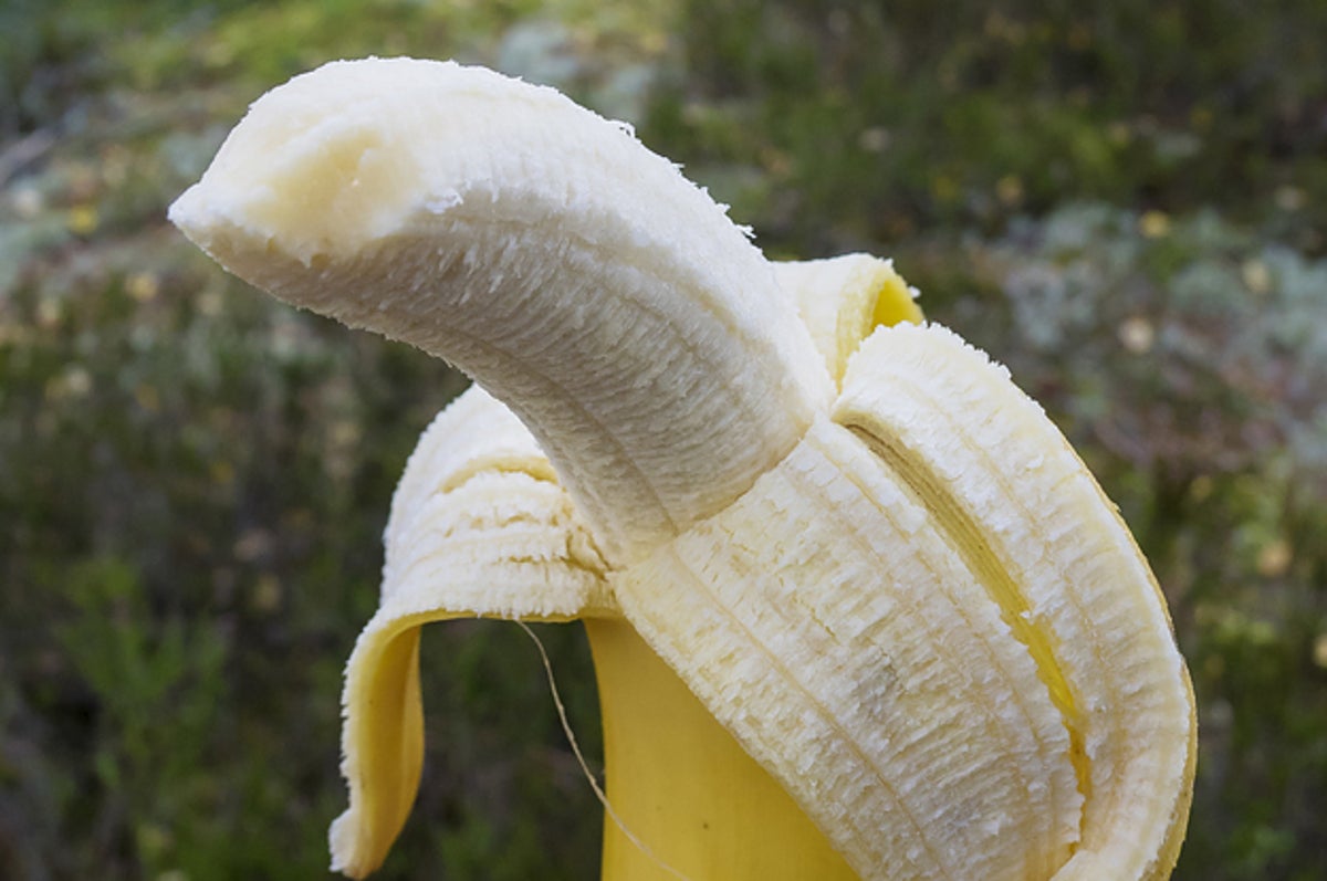 8 Spine-Tingling Tales Of Enormous Penises