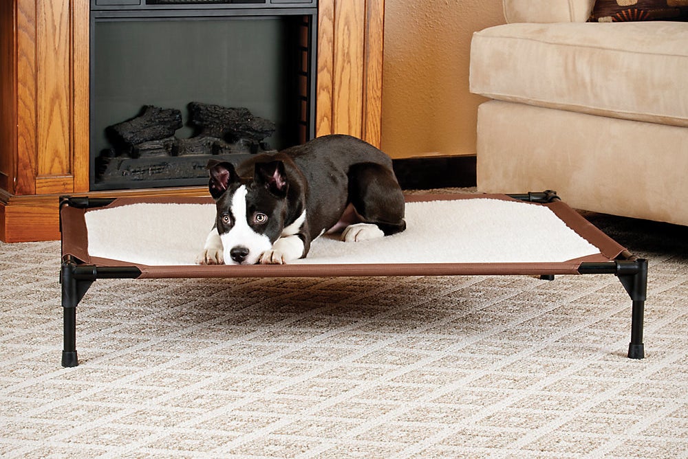 raised pet bed with a black and white dog on top of it