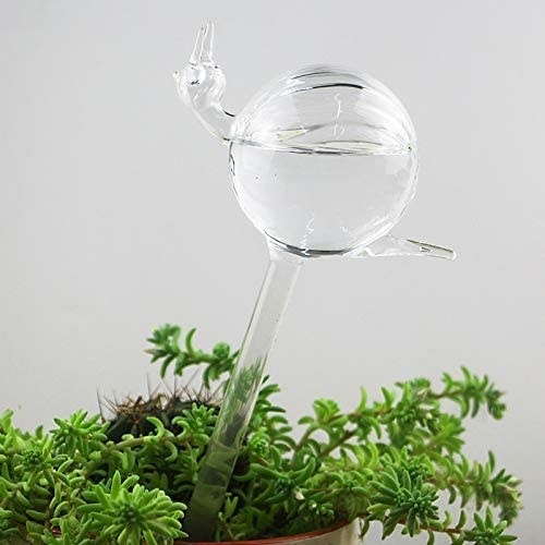A snail-shaped plant watering bulb 