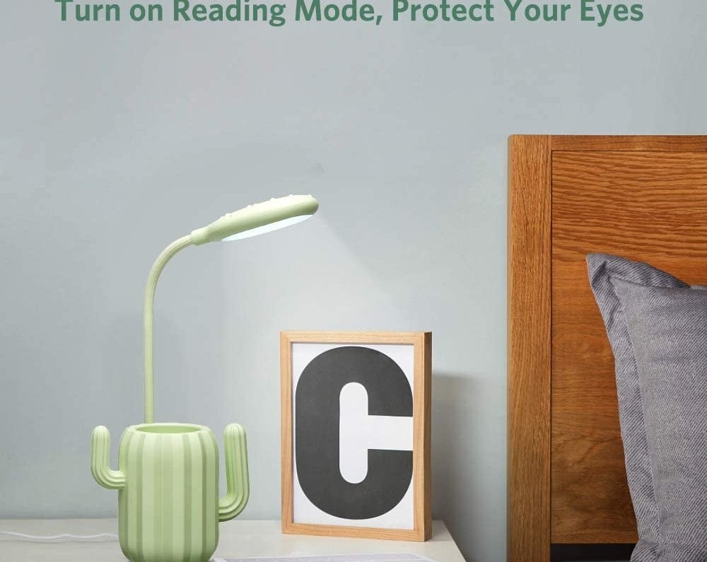 The flexible lamp with a cactus cup at its base 