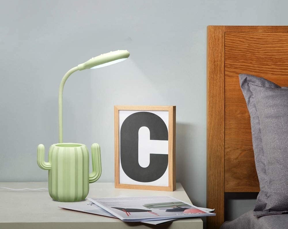 The flexible lamp with a cactus cup at its base 