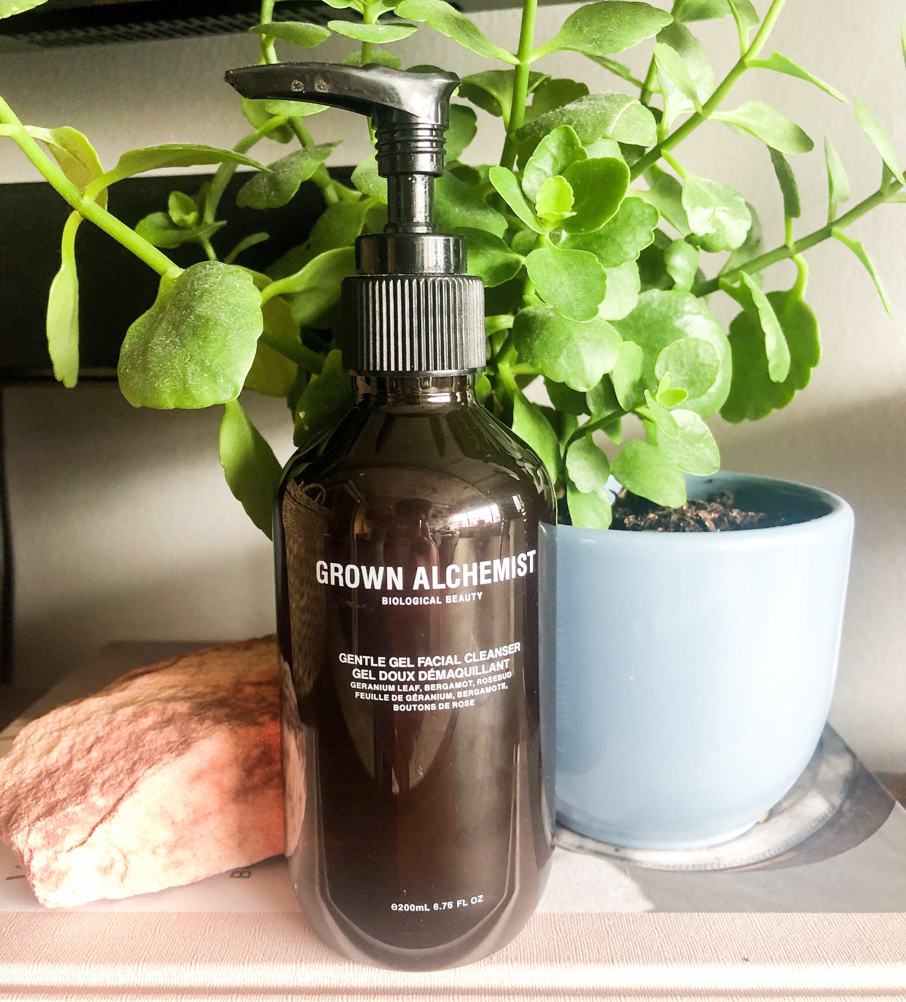 A bottle of the cleanser next to a healthy jade plant