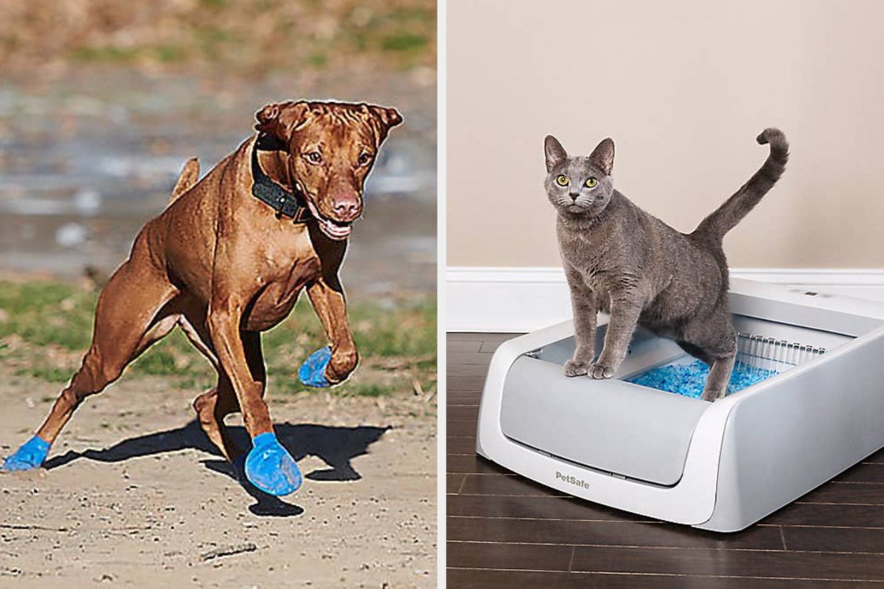 25 Clever Products From PetSmart That Will Help Solve Small But Everyday Problems