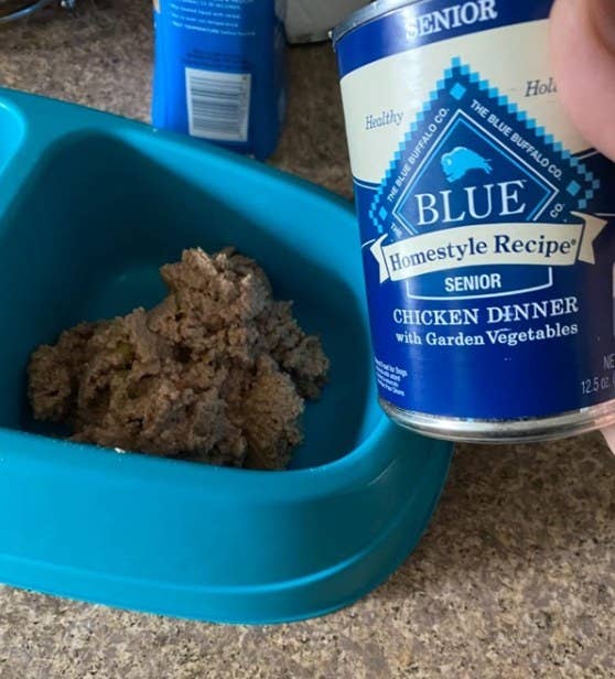 Reviewer&#x27;s dog bowl filled with wet dog food