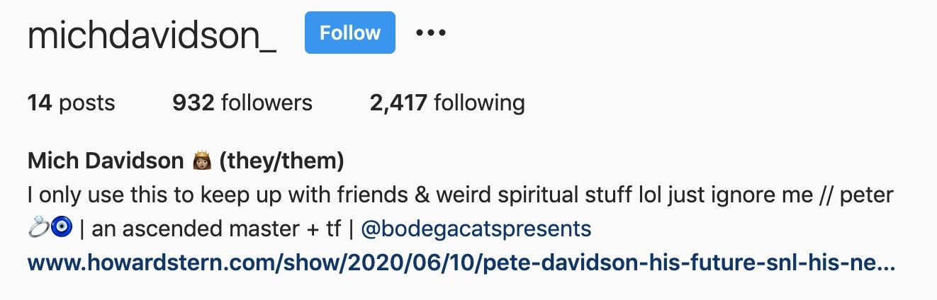 A screenshot of Michelle&#x27;s Instagram bio