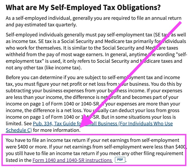 Screenshot of self-employed information from the IRS