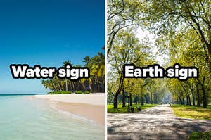 Beach with the words "water sign" and park with the words "earth sign"