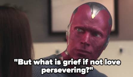 Vision tells Wanda "what is grief if not love persevering" on WandaVision
