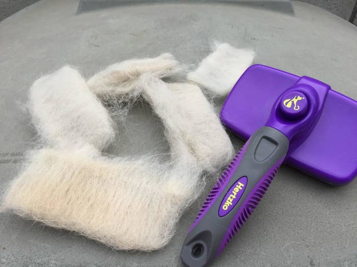 Several clumps of white fur and the purple brush