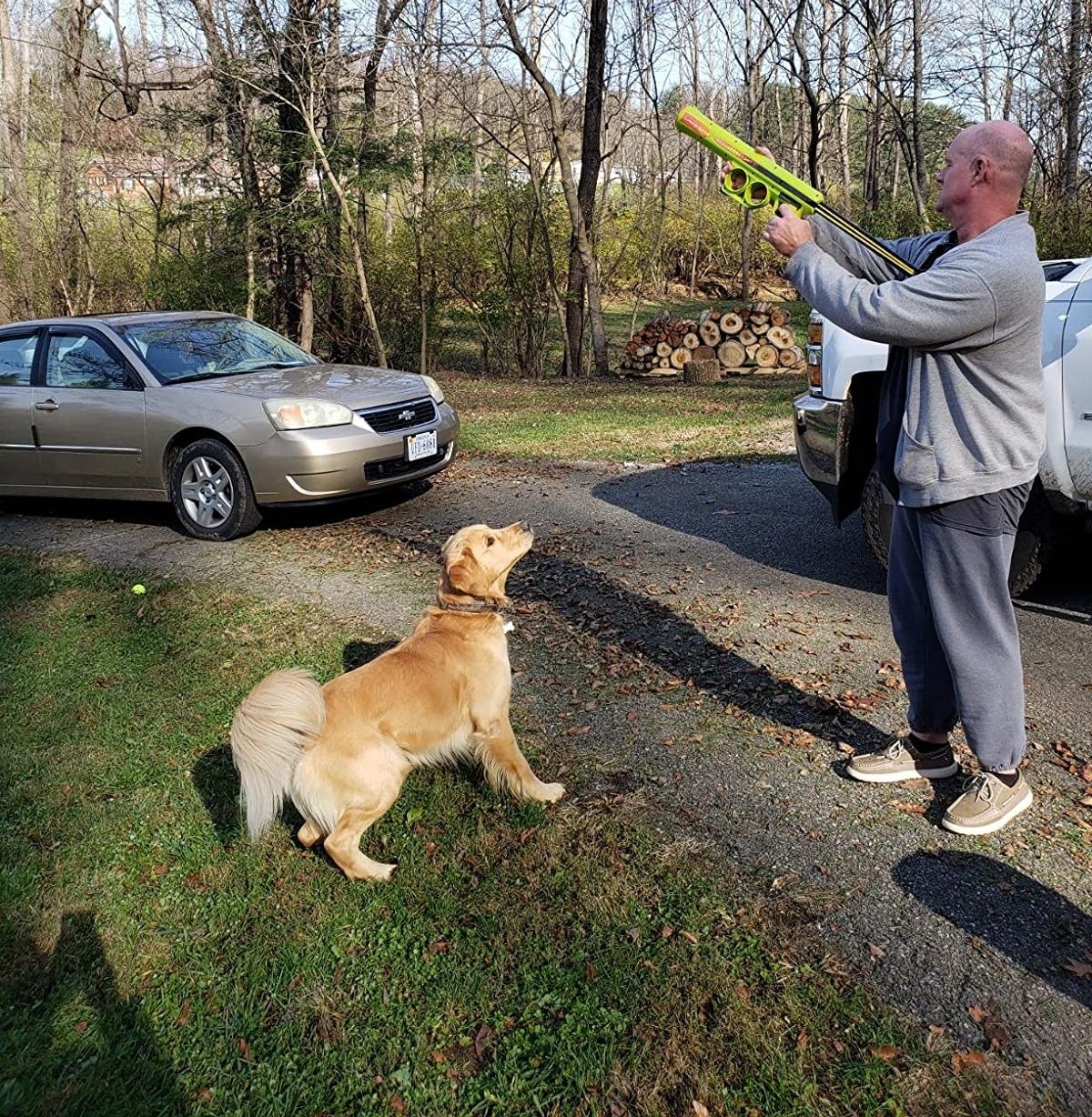 Reviewer launching ball to dog
