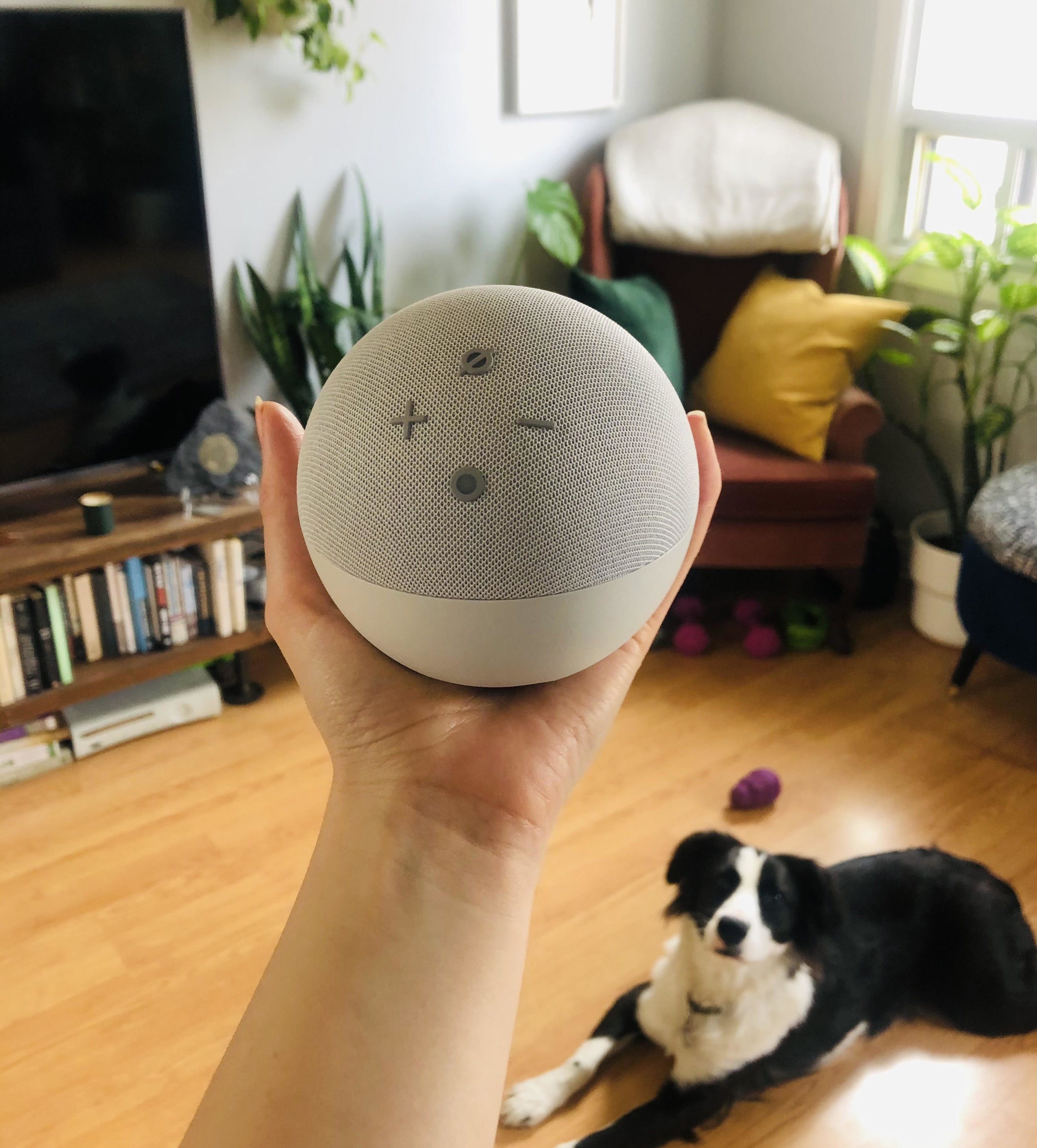 A person holding an echo dot