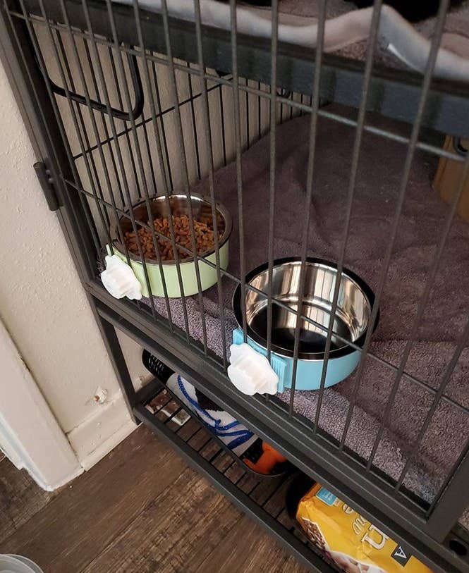 blue and green bowls in a reviewer&#x27;s home, clipped to the sides of a cage