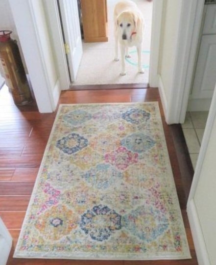 A floral rug sits on a hardwood floor. There is a white lab in the background. 
