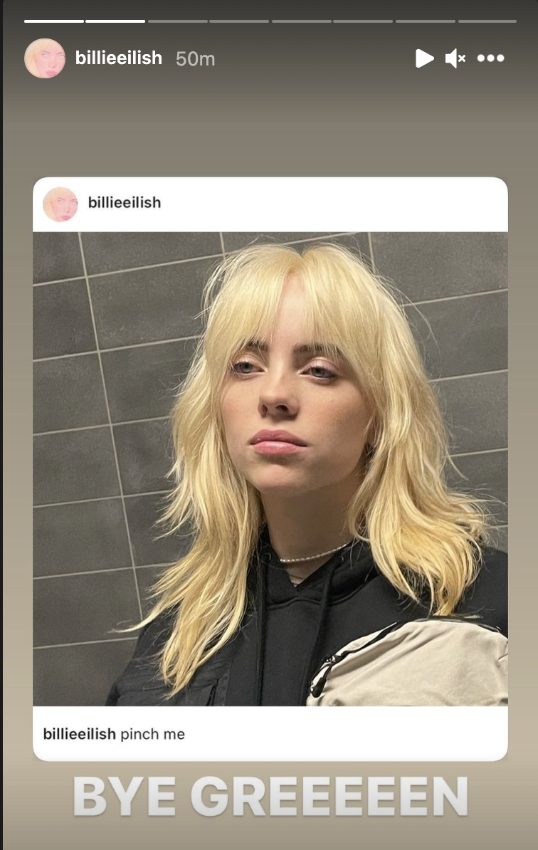 Billie Eilish Explains Why She Waited So Long to Debut Her Blonde Hair  Photo 4538472  Billie Eilish Photos  Just Jared Entertainment News