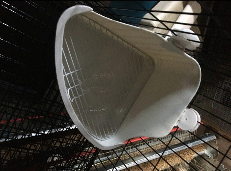 A white litter container hooked to the corner of a cage in a reviewers home