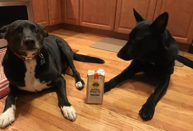 Reviewer&#x27;s dogs sitting with the box of bone broth