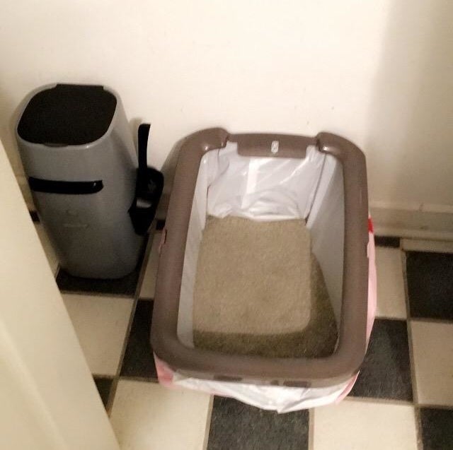 A litter box with the liner
