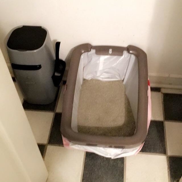 A litter box with the liner