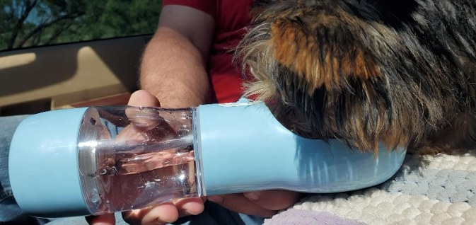 dog likes chewing on plastic bottles