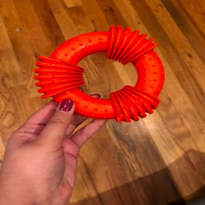 person holding up a orange circular dog toy