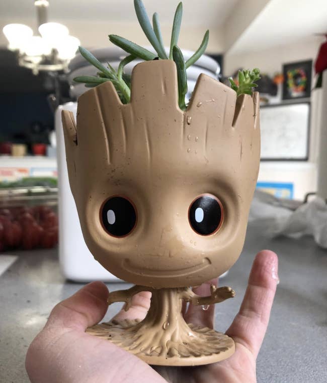 reviewer holding the groot planter in their hand