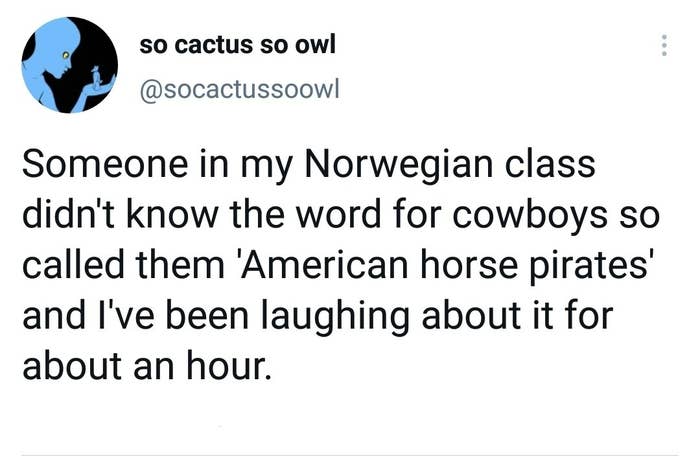 tweet reading someone in my norwegian class didn&#x27;t know the word for cowboys so called them american horse pirates