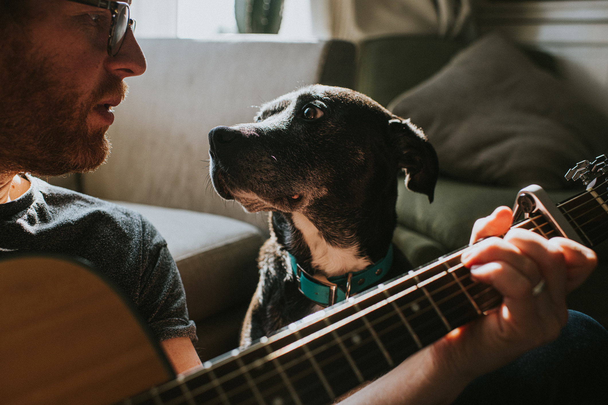 Man playing guitar for his dog