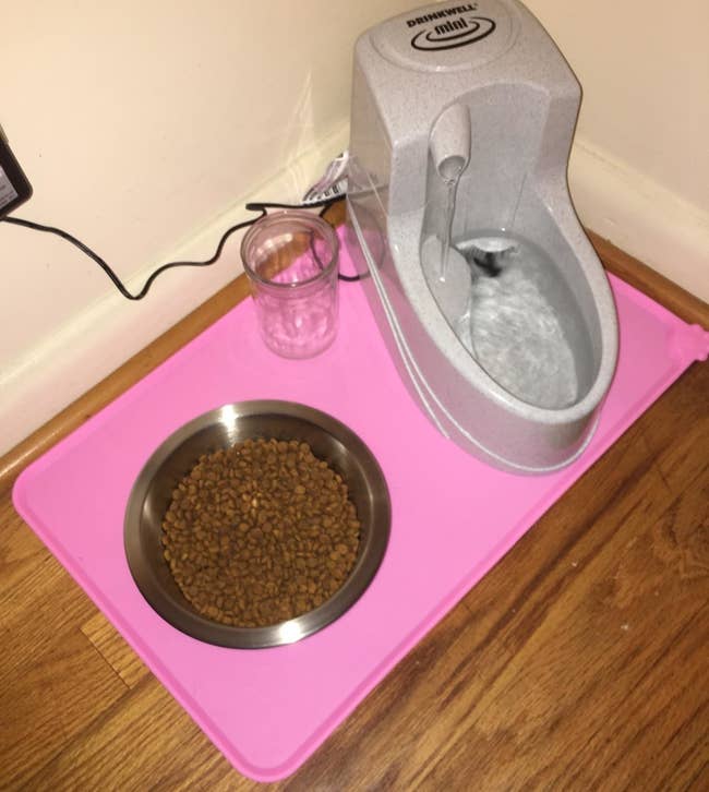 The mat with a bowl of food and water dispenser