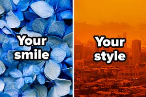 Blue flowers with "your smile" and orange skyline with words "your style"