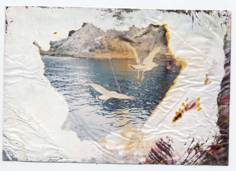 a damaged photograph of two seagulls flying over a body of water