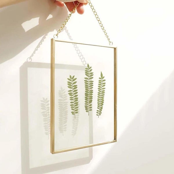 The frame with a three dried sprigs of a plant