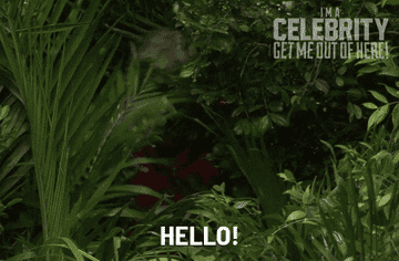 Person walking through a bunch of trees and shrubbery and saying &quot;hello&quot;