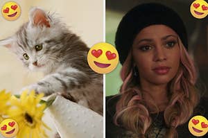 A kitten knocks over a vase of sunflowers and Vanessa Morgan as Toni Topaz in the show "Riverdale."
