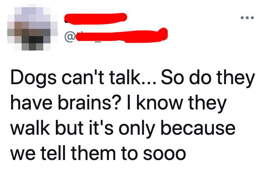 tweet says dogs can&#x27;t talk so they don&#x27;t have brains