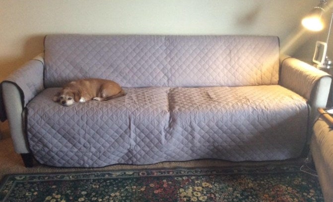 A reviewer&#x27;s dog sleeping comfortably on a sofa protector 