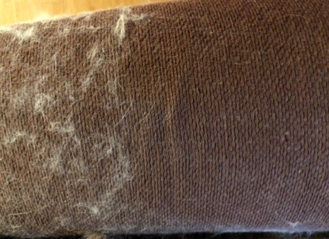 A reviewer&#x27;s photo of pet hair removed from their couch. 