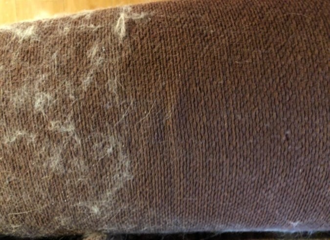 A reviewer&#x27;s photo of pet hair removed from their couch. 