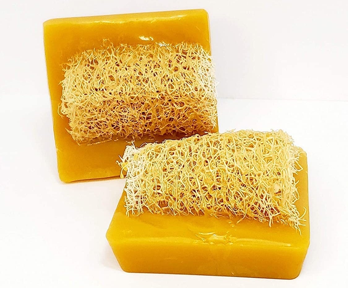 The yellow bar soap with a loofah embedded in it