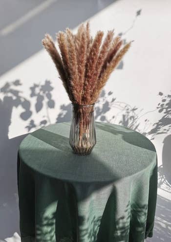 a reviewer's brown bouquet of pampas grass in a vase