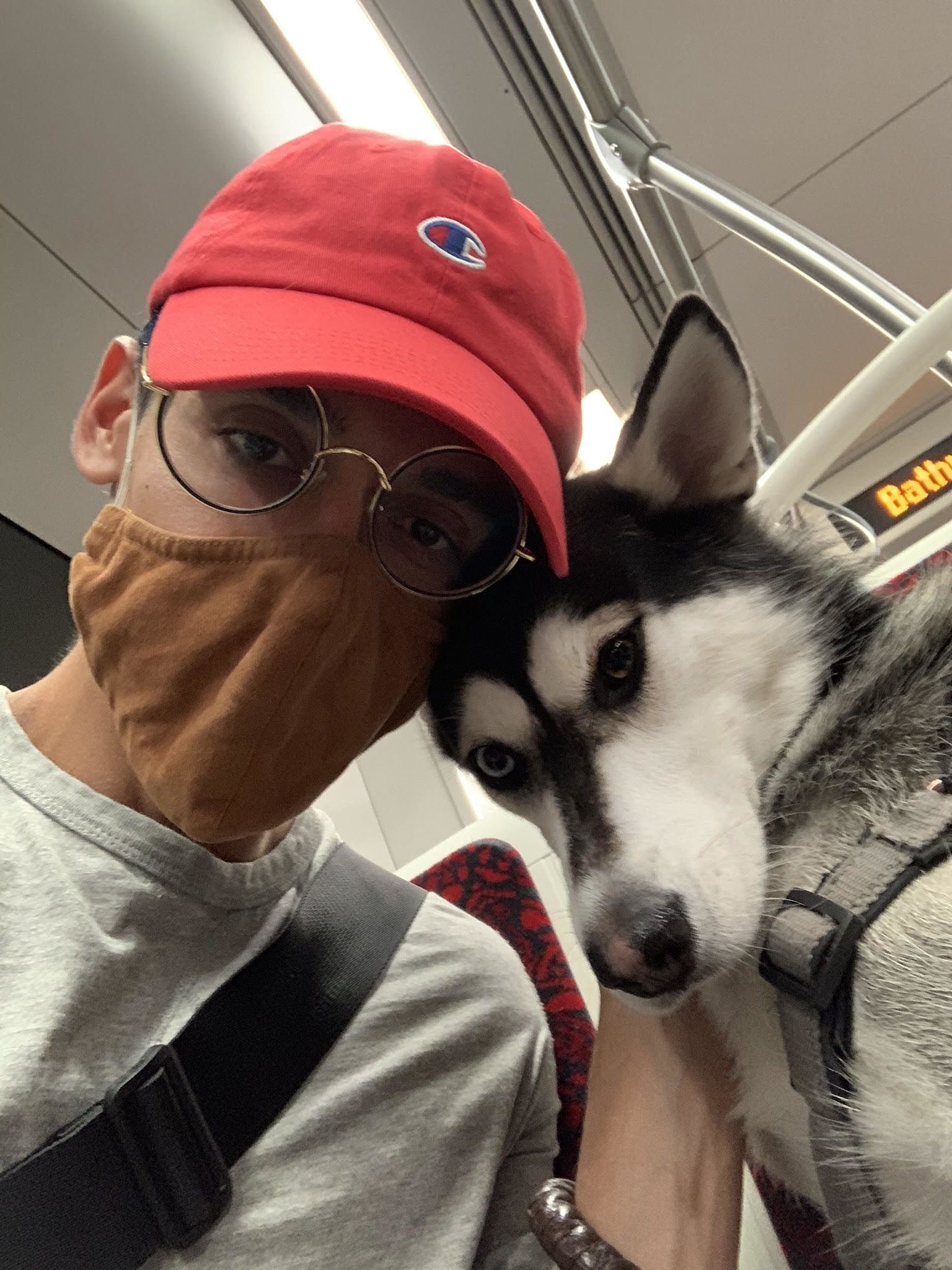A person in a brown mask on public transit with their puppy