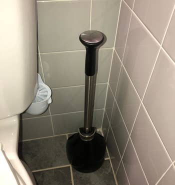 The toilet brush angled up so you can barely see it