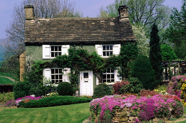 a cute green house covered in vines
