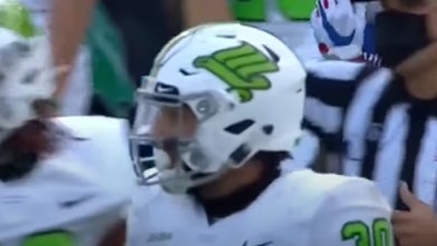 White helmet with a green logo that looks like a bird