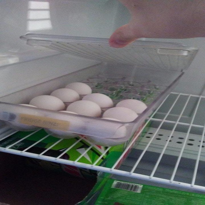 Reviewer holding open lid of egg holder