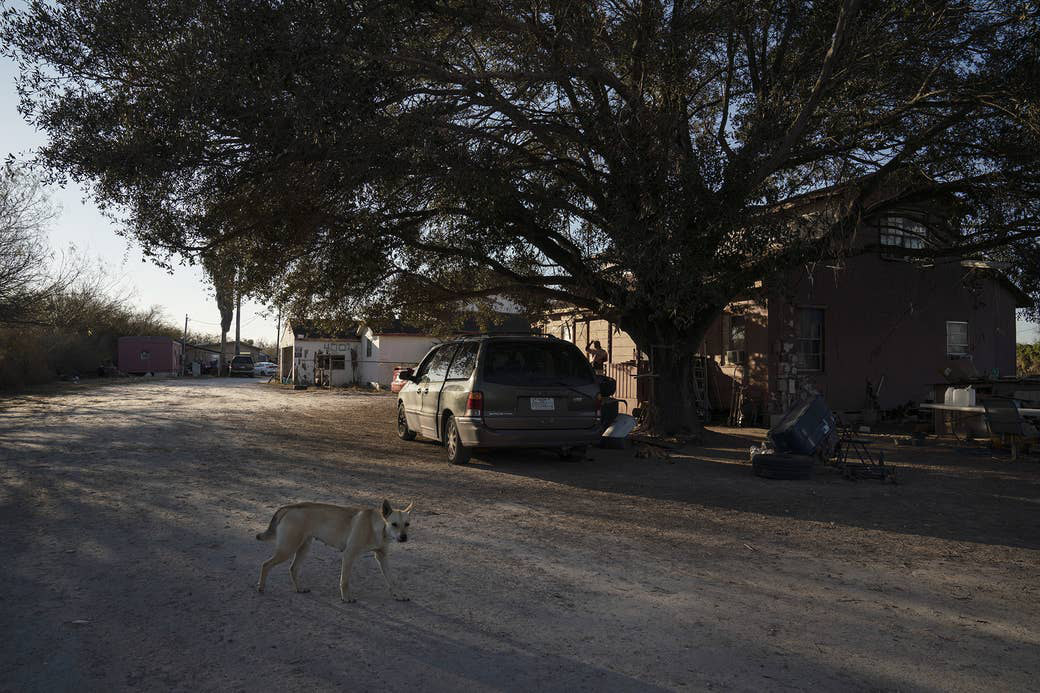 A dog walks through the colonia where Nohemí&#x27;s sister lives
