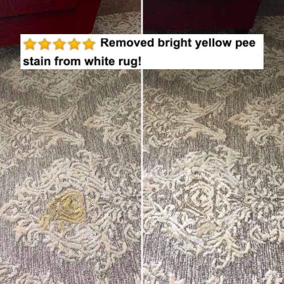 Reviewer&#x27;s before-and-after of pee-stained rug and then clean carpet