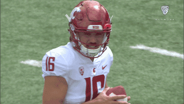 Red helmet with a cougar logo with a &quot;W&quot; in it