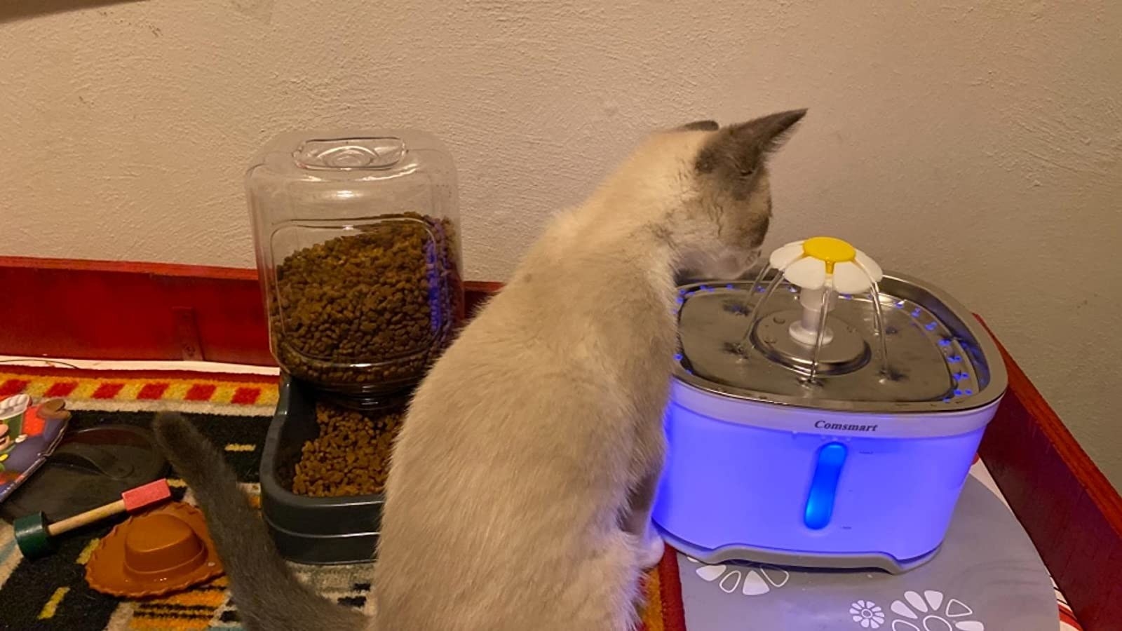 Reviewer&#x27;s photo of their cat drinking from the pet fountain
