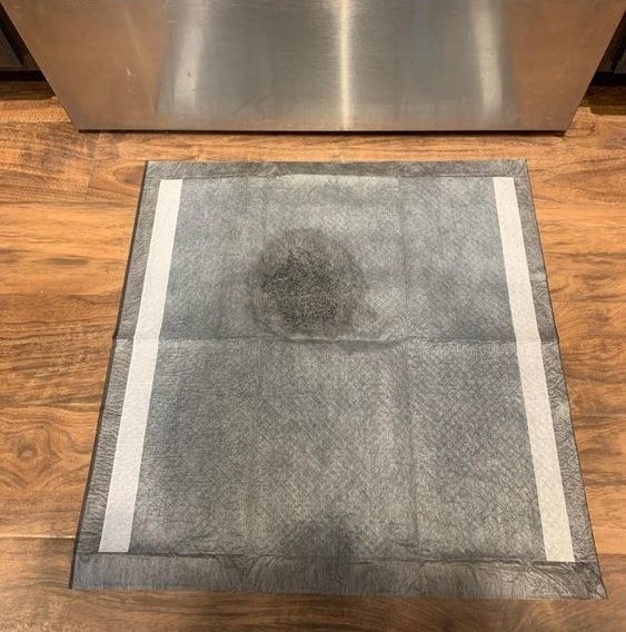 Reviewer&#x27;s picture of pee-stained mat that absorbed the liquid 